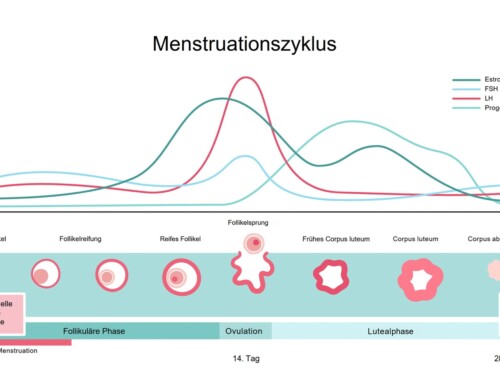 Menstruelle Migräne, Antibabypille, Empfängnisverhütung, Nervensystem und Schlaganfallrisiko